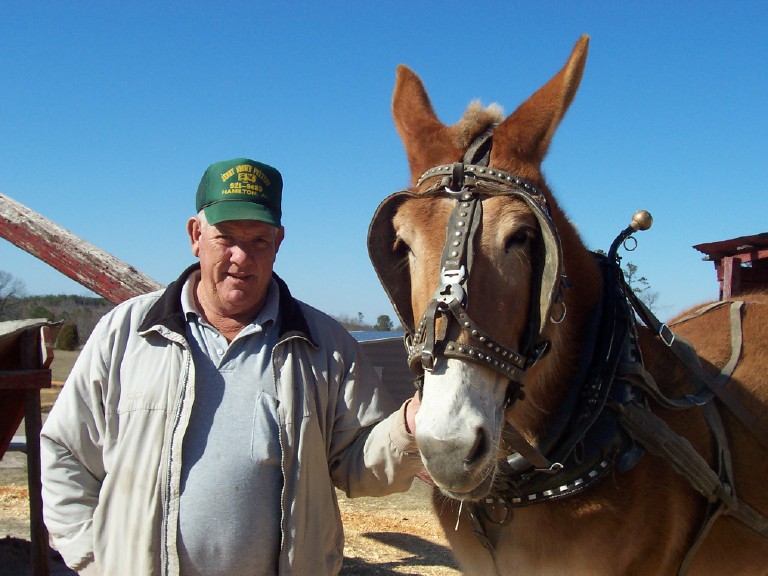 Jerry Brown Arts Festival March 1st & 2nd archive photo
