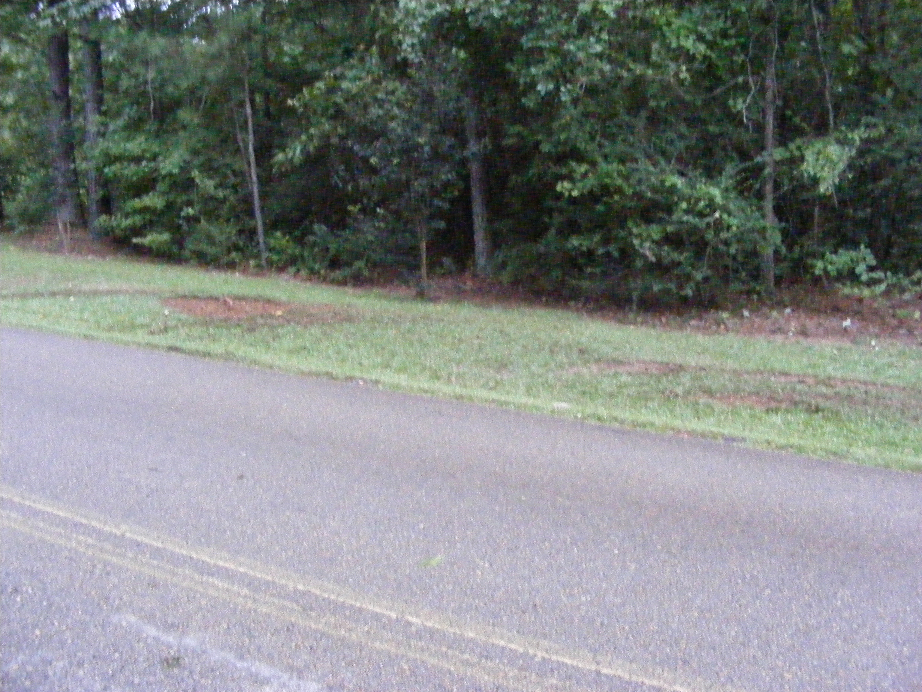 One Vehicle Accident Resulted in No Personal Injuries photo 3 of 5